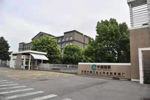 钟鼎 王中王 香梅 阜阳卷烟厂的历史和那些消失的产品