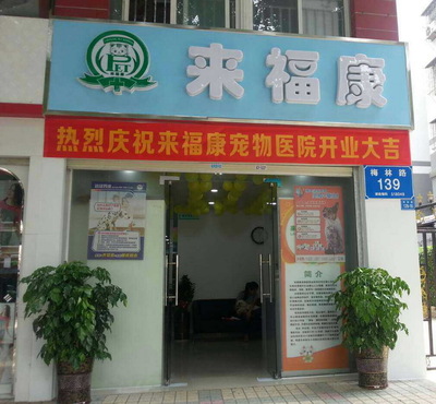 来福康宠物医院成为猫网2015年合作支持医院 深圳猫,爱猫人的社区